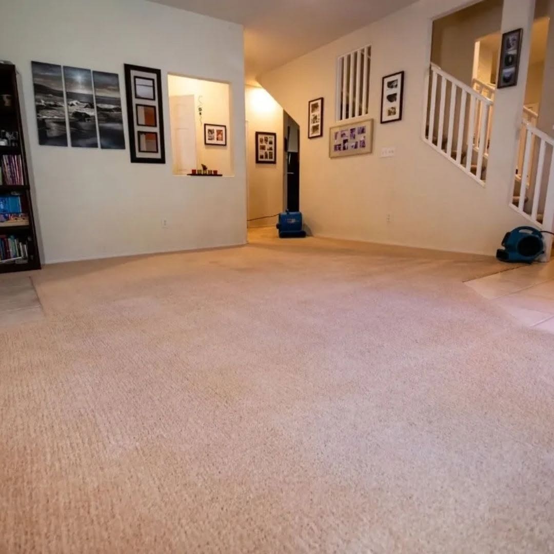 Wide living room with freshly cleaned carpet