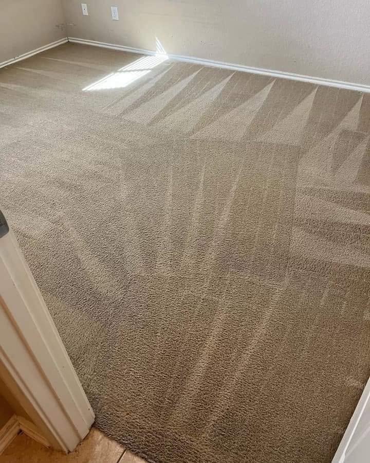 Clean carpet with fresh vacuum pattern in an empty room