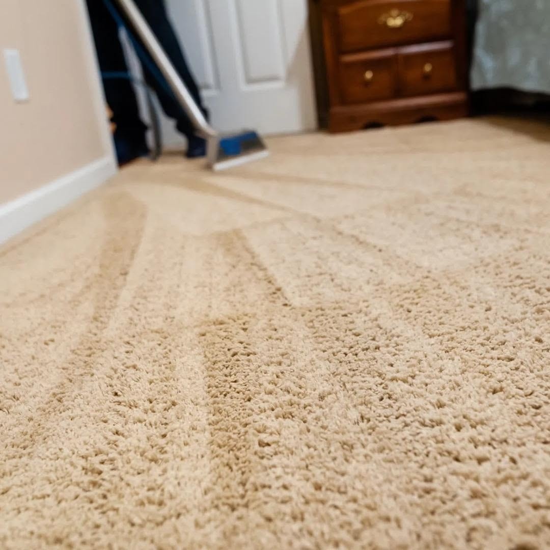 Freshly cleaned bedroom carpet with cleaning stripes