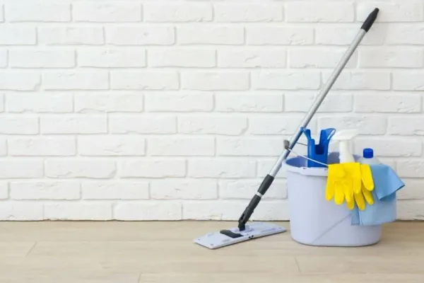 Professional carpet cleaning team