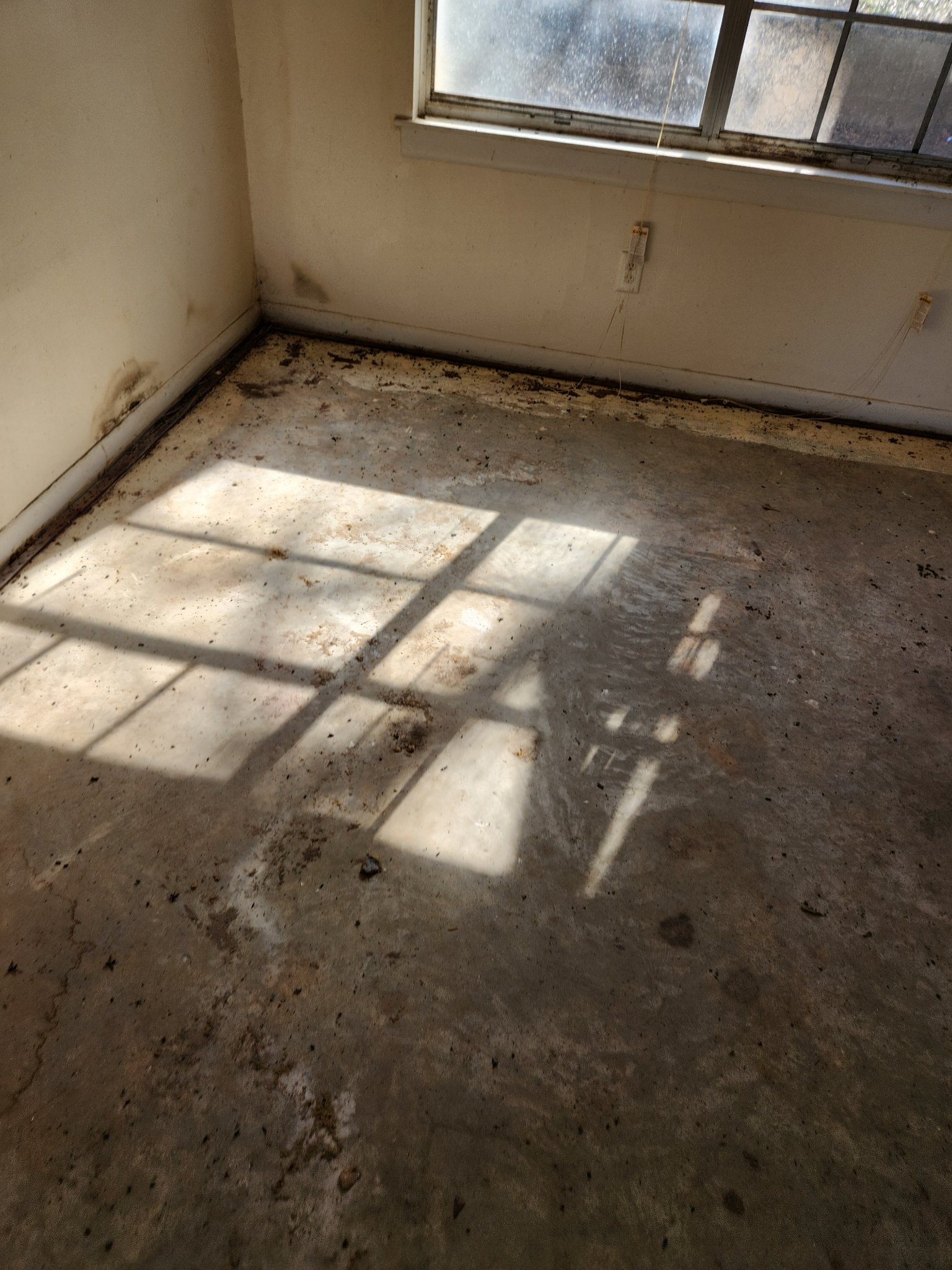 Same room after water extraction and drying