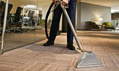 Wauconda Area Rug Cleaning Services